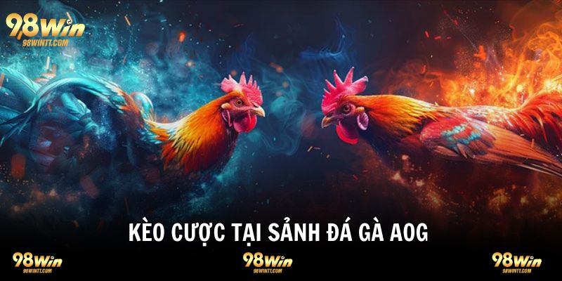 AOG mang đến hội viên đa dạng kèo cược đá gà 